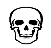 Sujets divers et sons électroniques d'Europe et d'ailleurs